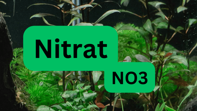 Basiswissen NO3 Nitrat im Aquarium
